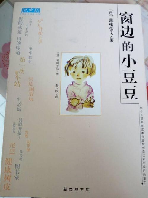 窗边的小豆豆,探寻童年纯真的心灵之旅