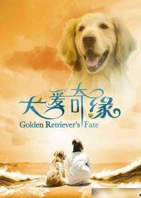 爱犬奇缘,一段跨越生死的忠诚传奇